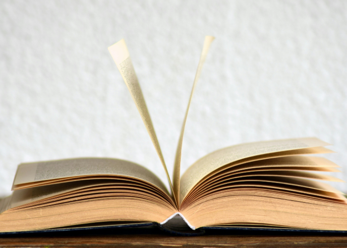 Updated Humanities Curriculum